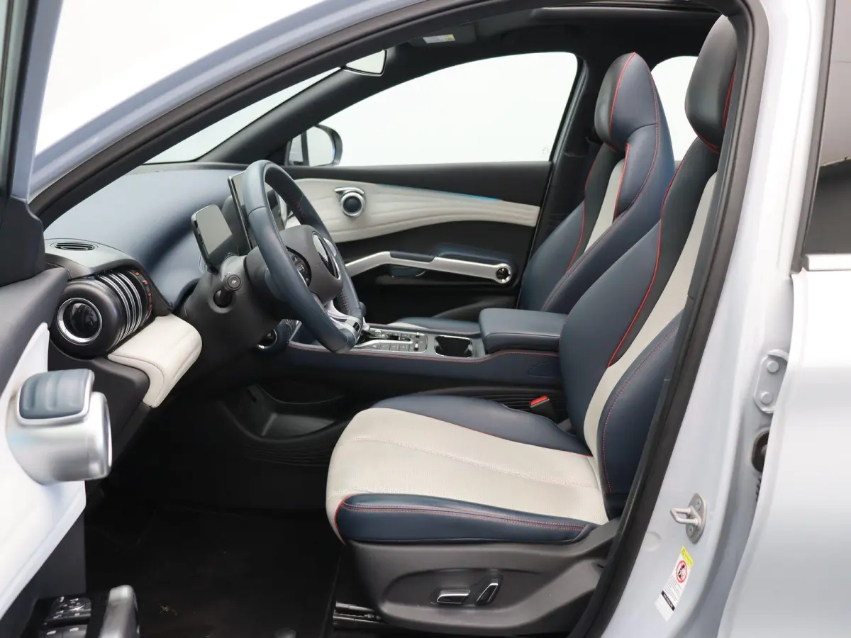 Comfort 60 kWh | SOH 95% | Panoramadak | 420km WLTP | Stoelverwarming |