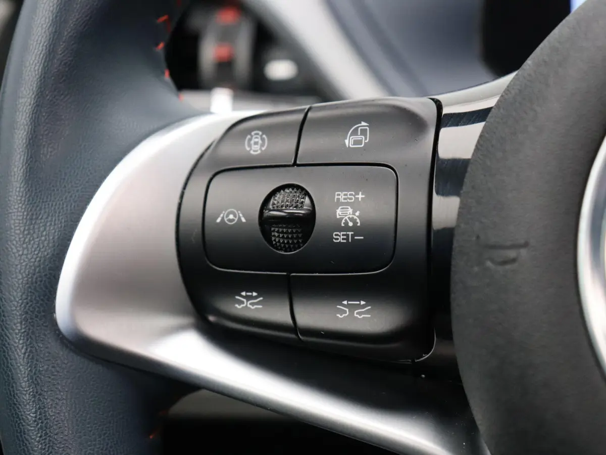 Comfort 60 kWh | SOH 95% | Panoramadak | 420km WLTP | Stoelverwarming |
