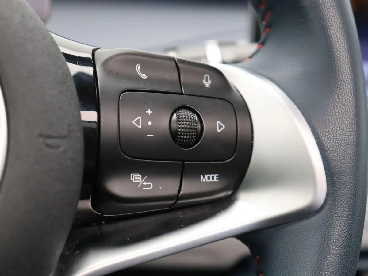 Comfort 60 kWh | SOH 95% | Panoramadak | 420km WLTP | Stoelverwarming |