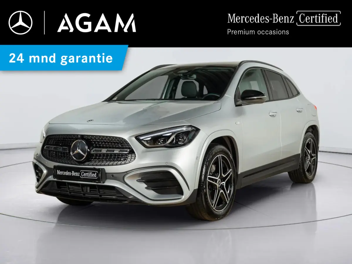 250 e Business Solution AMG | Panorama dak | Trekhaak