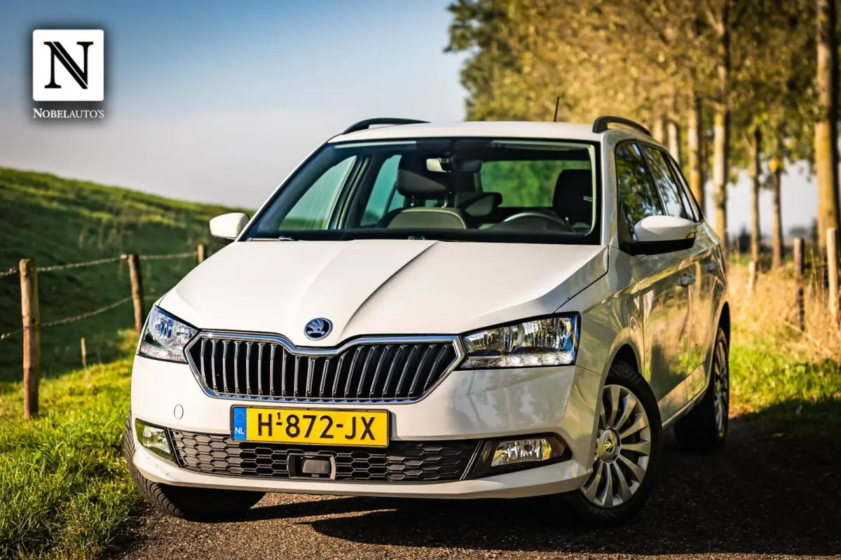 1.0 TSI Business Edition |Bak gereviseerd!