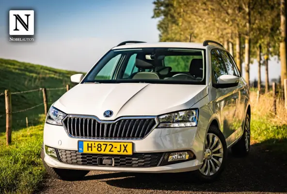 1.0 TSI Business Edition |Bak gereviseerd!