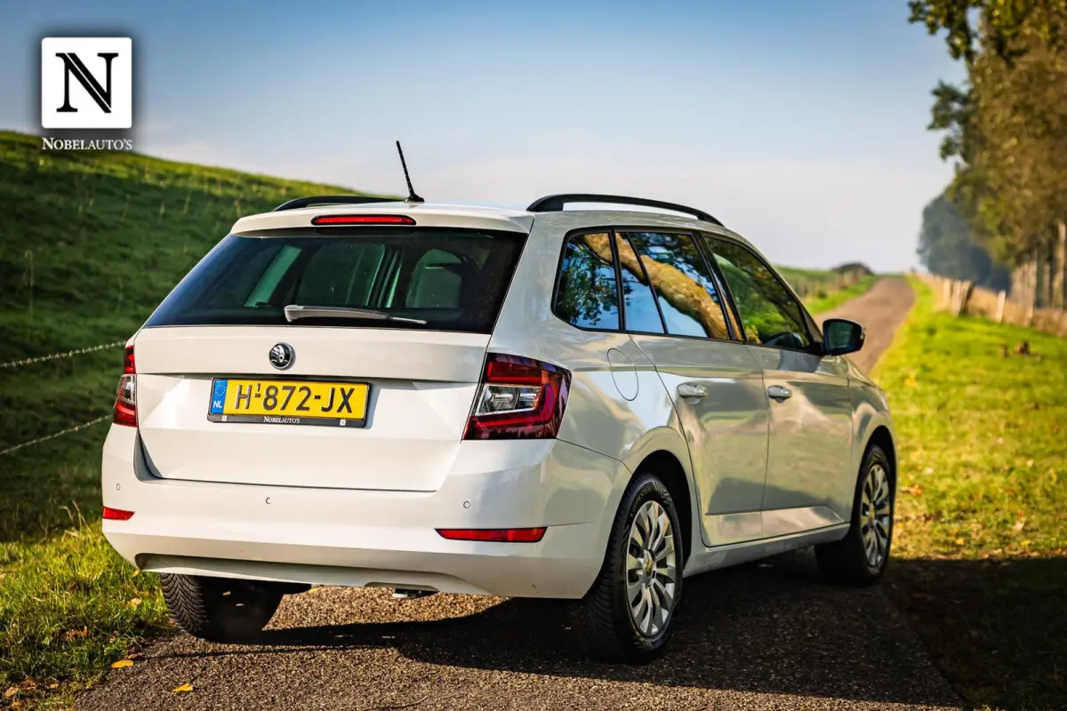 1.0 TSI Business Edition |Bak gereviseerd!