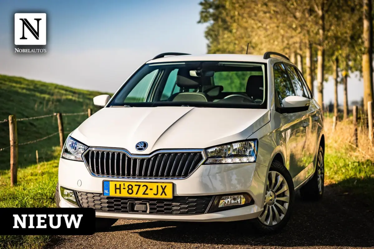 1.0 TSI Business Edition |Bak gereviseerd!