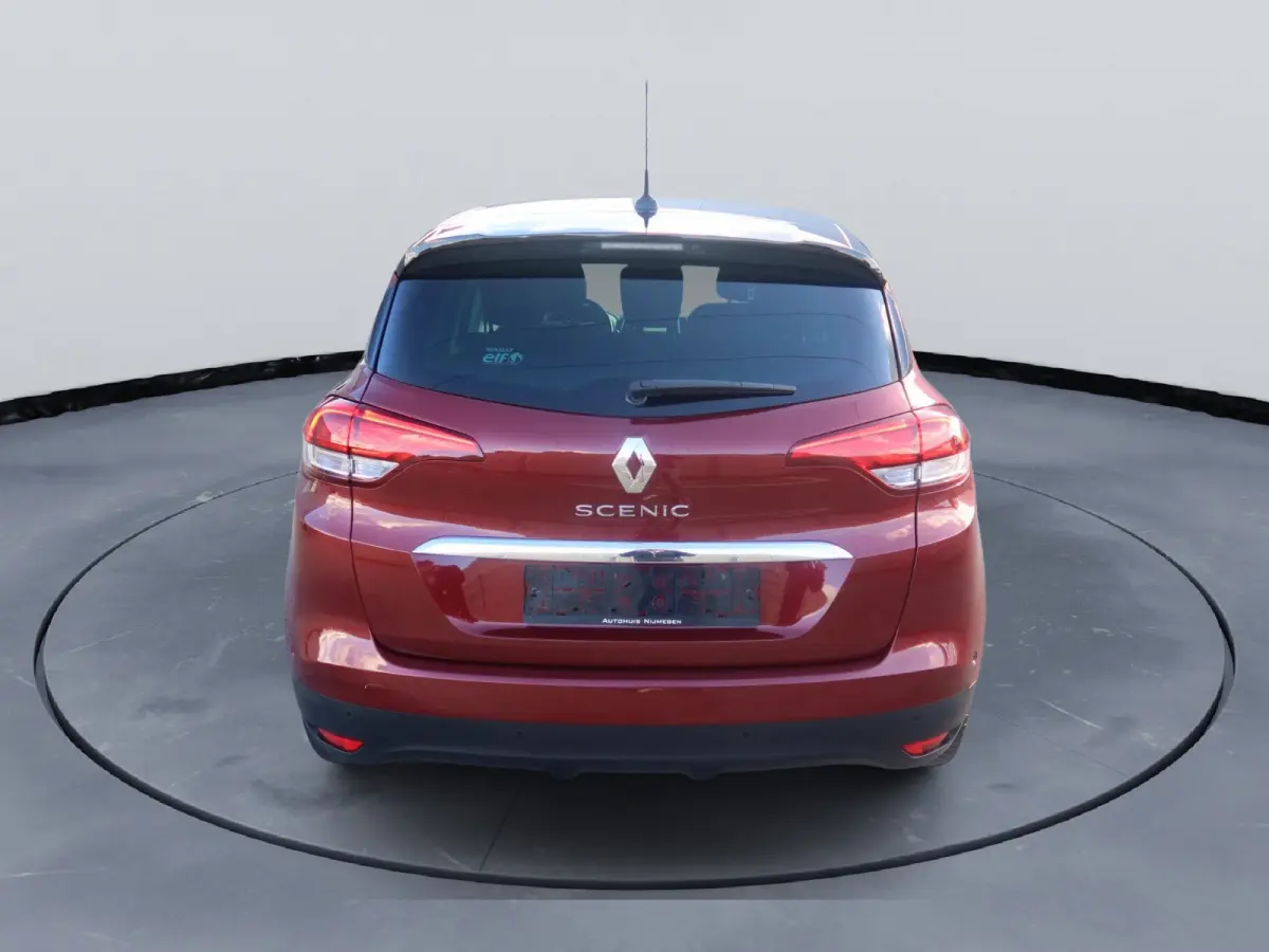 1.3 TCe Bose Automaat Lm velgen Navigatiesysteem