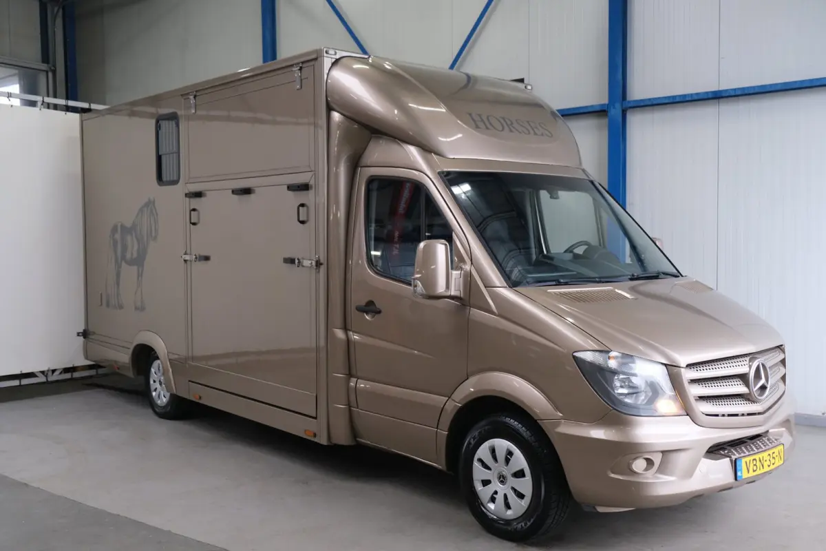 313 2.2 CDI 432 - Paardenwagen, Horsetruck, Hengstenuitvoering.