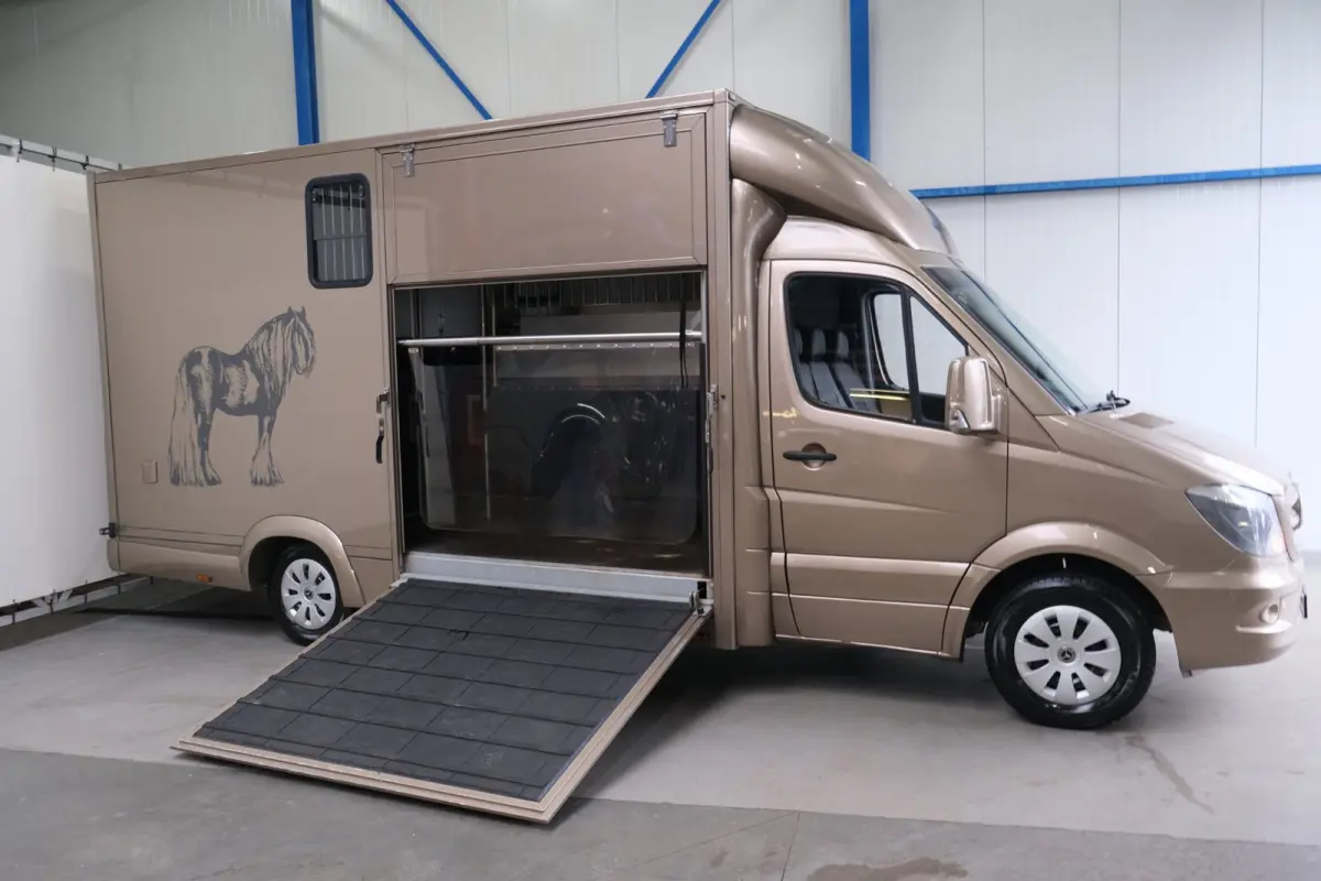 313 2.2 CDI 432 - Paardenwagen, Horsetruck, Hengstenuitvoering.