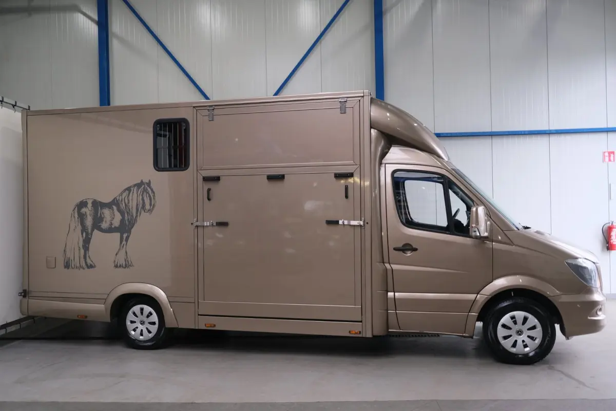 313 2.2 CDI 432 - Paardenwagen, Horsetruck, Hengstenuitvoering.