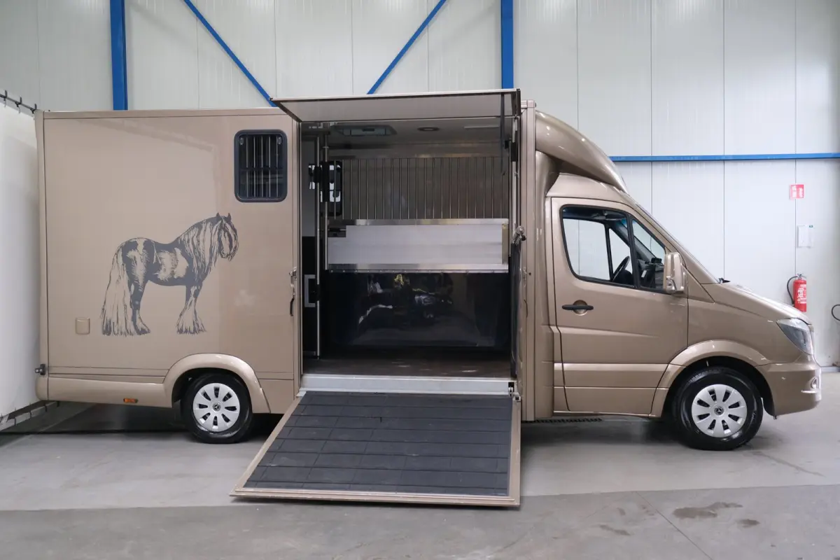 313 2.2 CDI 432 - Paardenwagen, Horsetruck, Hengstenuitvoering.