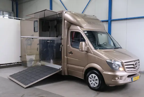 313 2.2 CDI 432 - Paardenwagen, Horsetruck, Hengstenuitvoering.