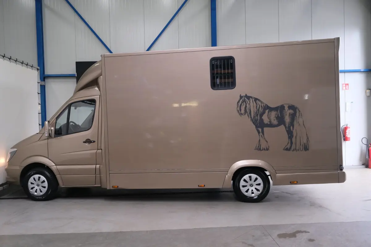 313 2.2 CDI 432 - Paardenwagen, Horsetruck, Hengstenuitvoering.