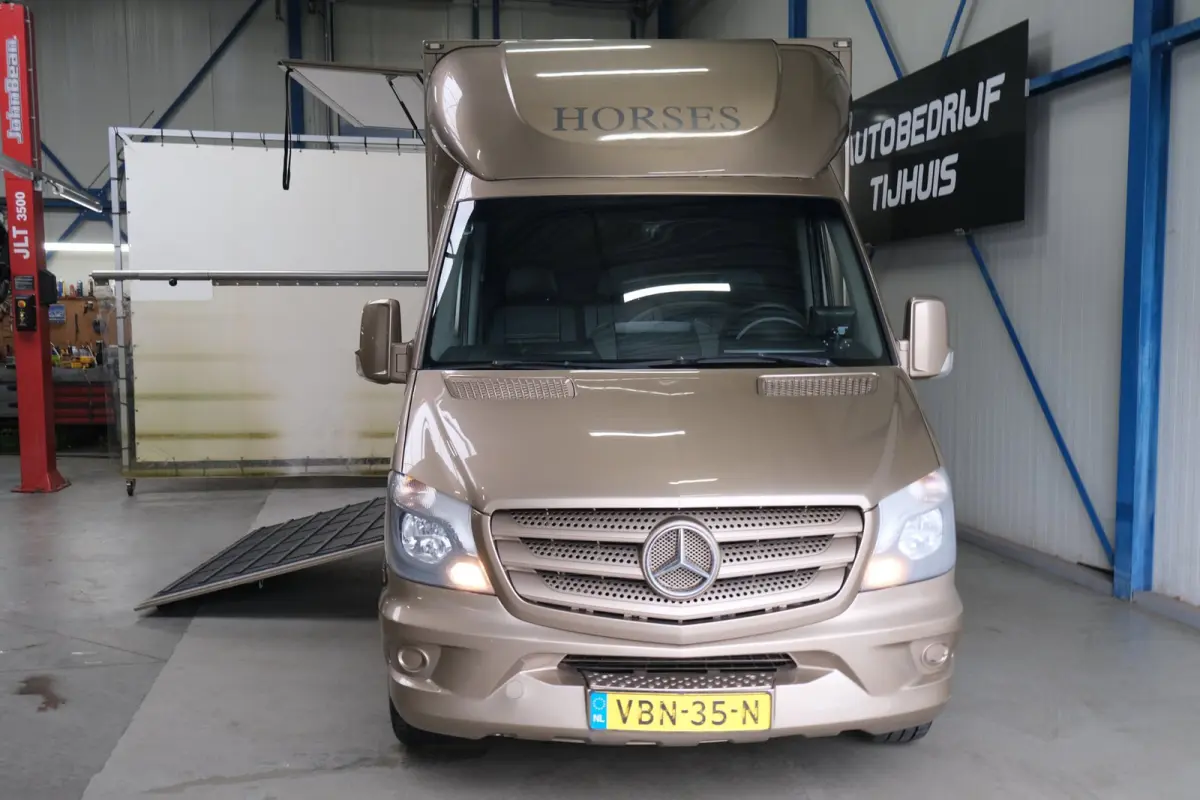 313 2.2 CDI 432 - Paardenwagen, Horsetruck, Hengstenuitvoering.