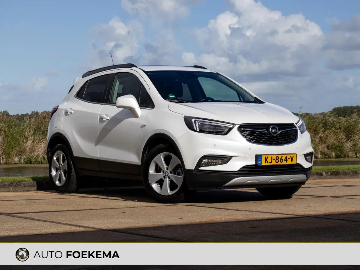 1.4 Turbo Innovation Leder Pano Trekhaak