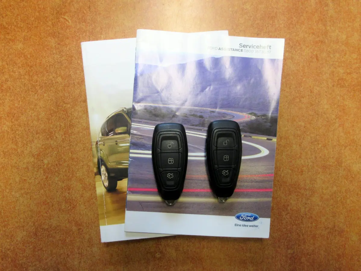 1.5 Titanium * Navi * Cruise * Trekhaak *