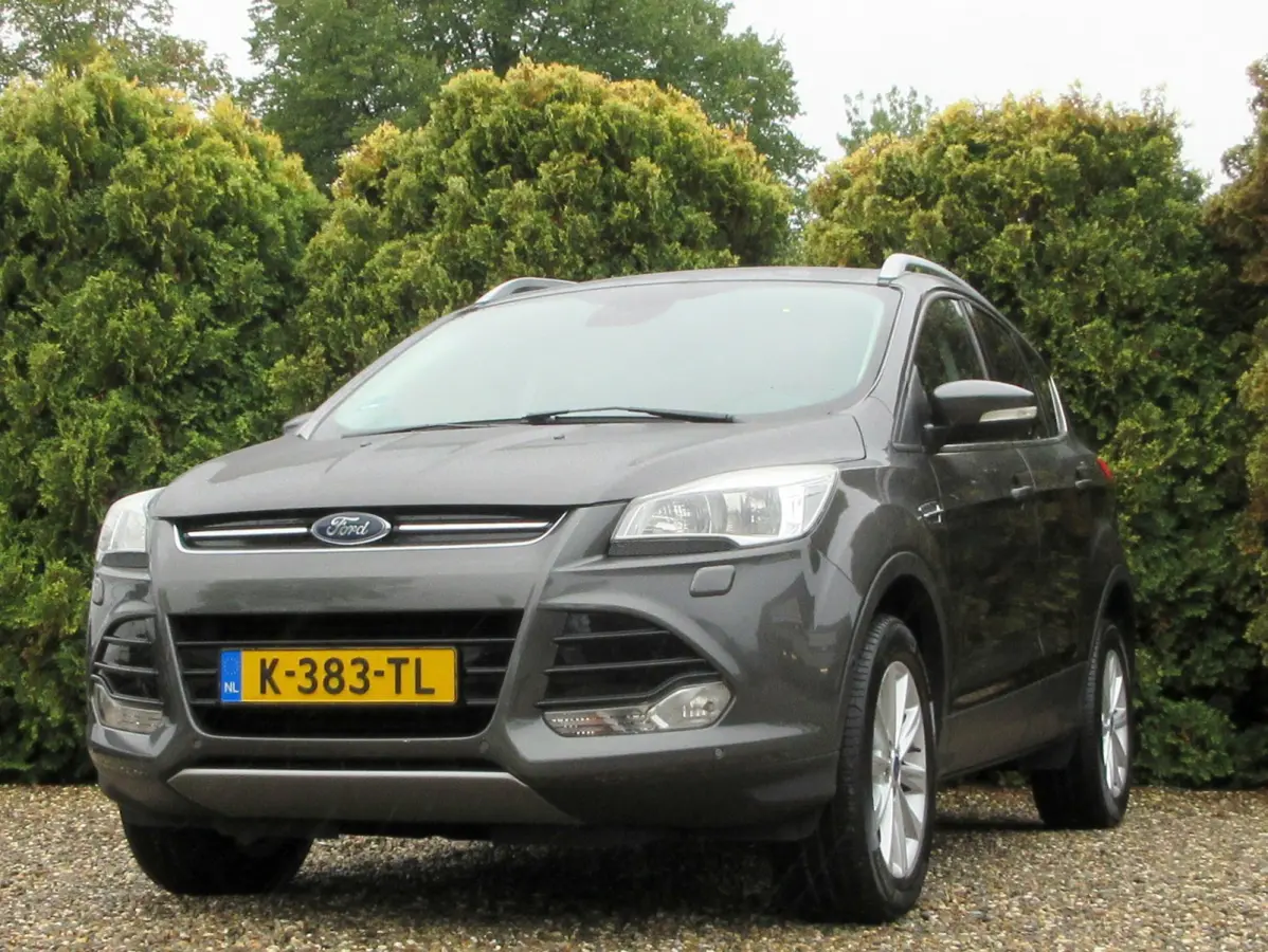 1.5 Titanium * Navi * Cruise * Trekhaak *