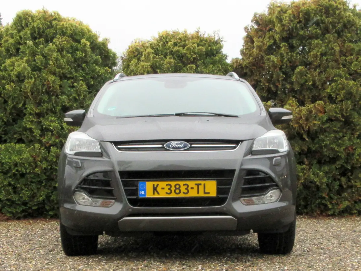 1.5 Titanium * Navi * Cruise * Trekhaak *