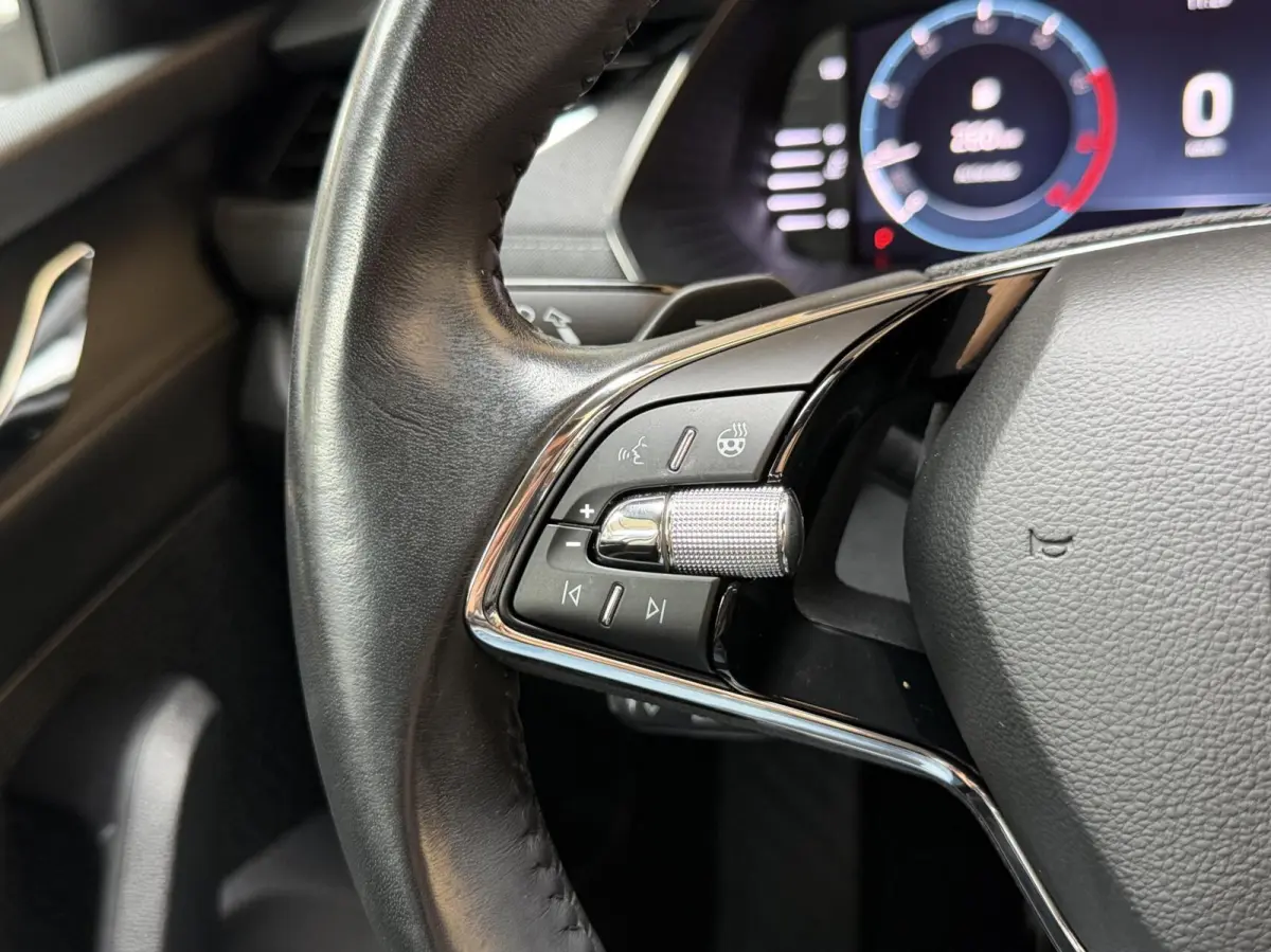 1.0 e-TSI Business Edition Plus Automaat | Apple CarPlay/Android Auto | Adaptieve cruise control | Dode hoek detectie | LED verlichting | Panoramadak | Parkeersensoren voor en achter | Stoel