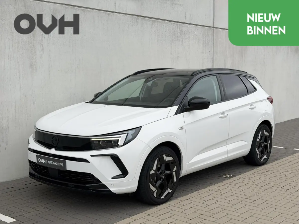 1.6 Turbo Plug-In Hybrid 4x4 GSe | Camera | Keyless | Stuurverw