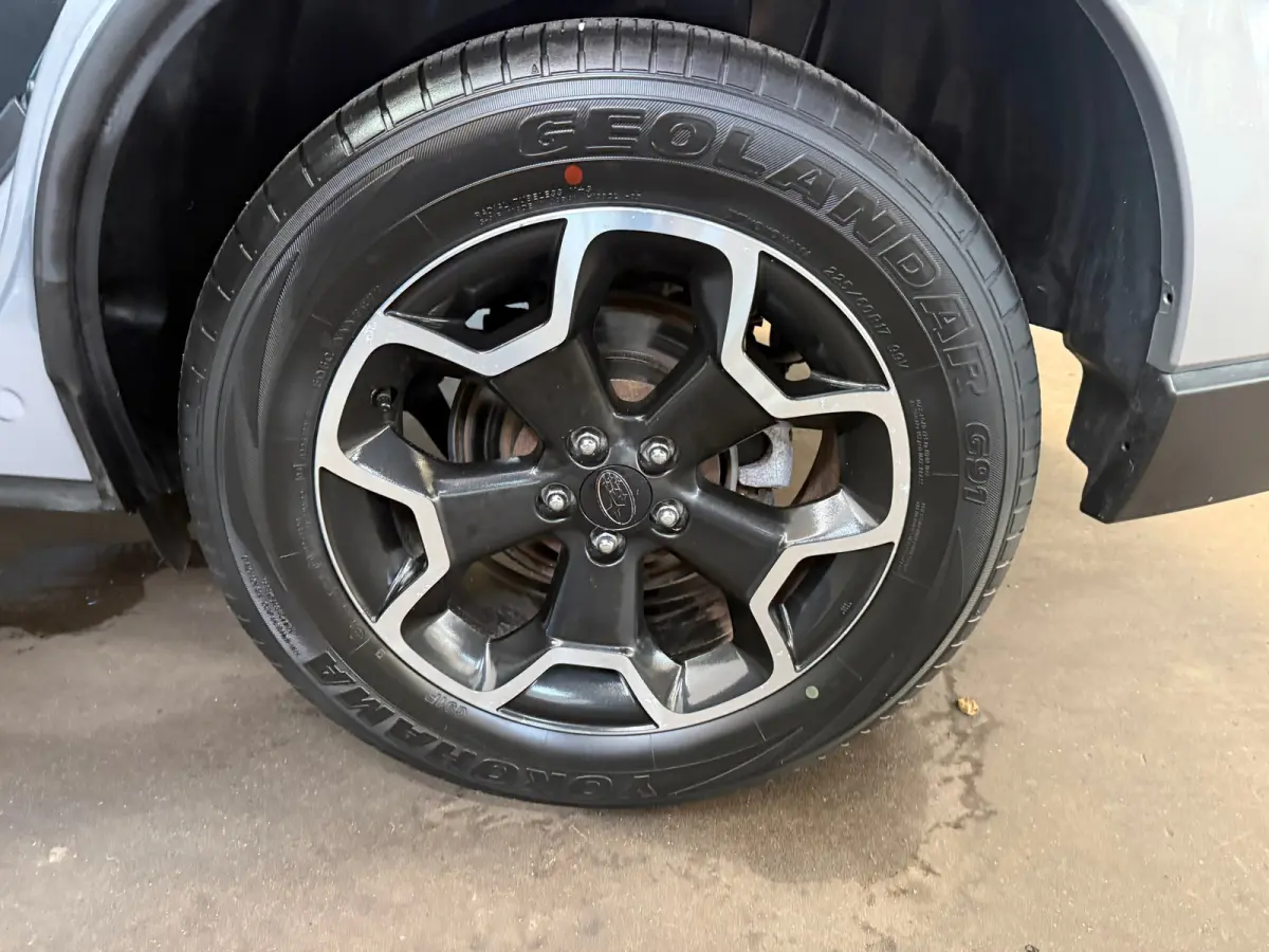 2.0 Comfort, Stoelverwarming,Climate control,Cruise control,L.M.Velgen