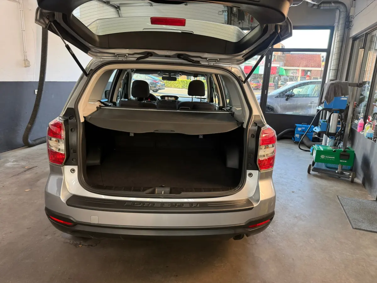 2.0 Comfort, Stoelverwarming,Climate control,Cruise control,L.M.Velgen