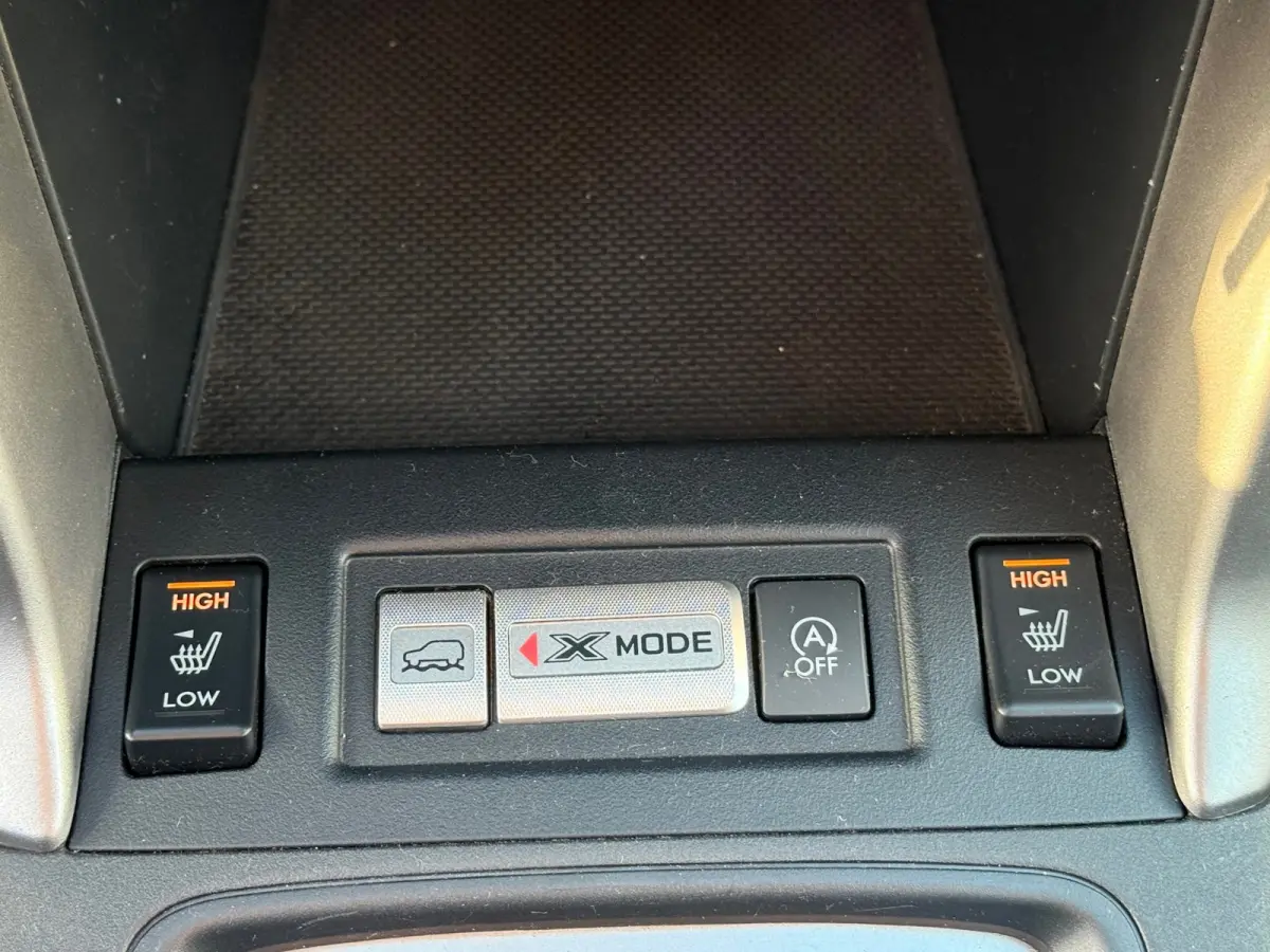 2.0 Comfort, Stoelverwarming,Climate control,Cruise control,L.M.Velgen