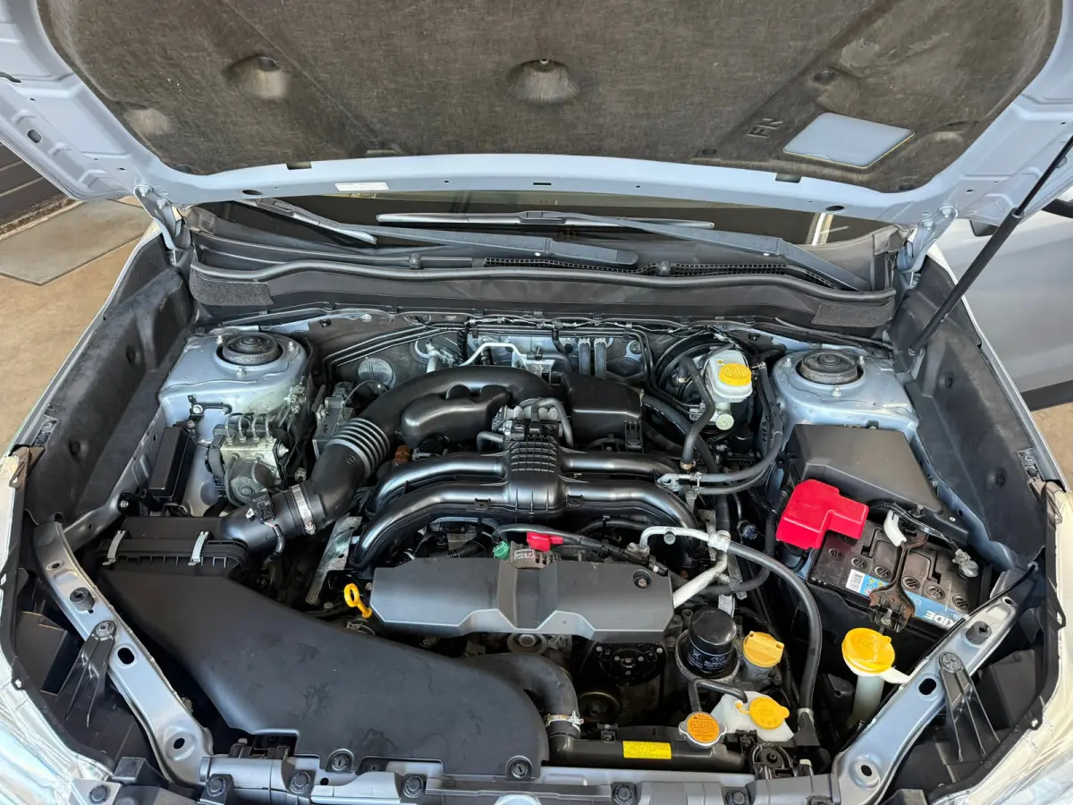 2.0 Comfort, Stoelverwarming,Climate control,Cruise control,L.M.Velgen