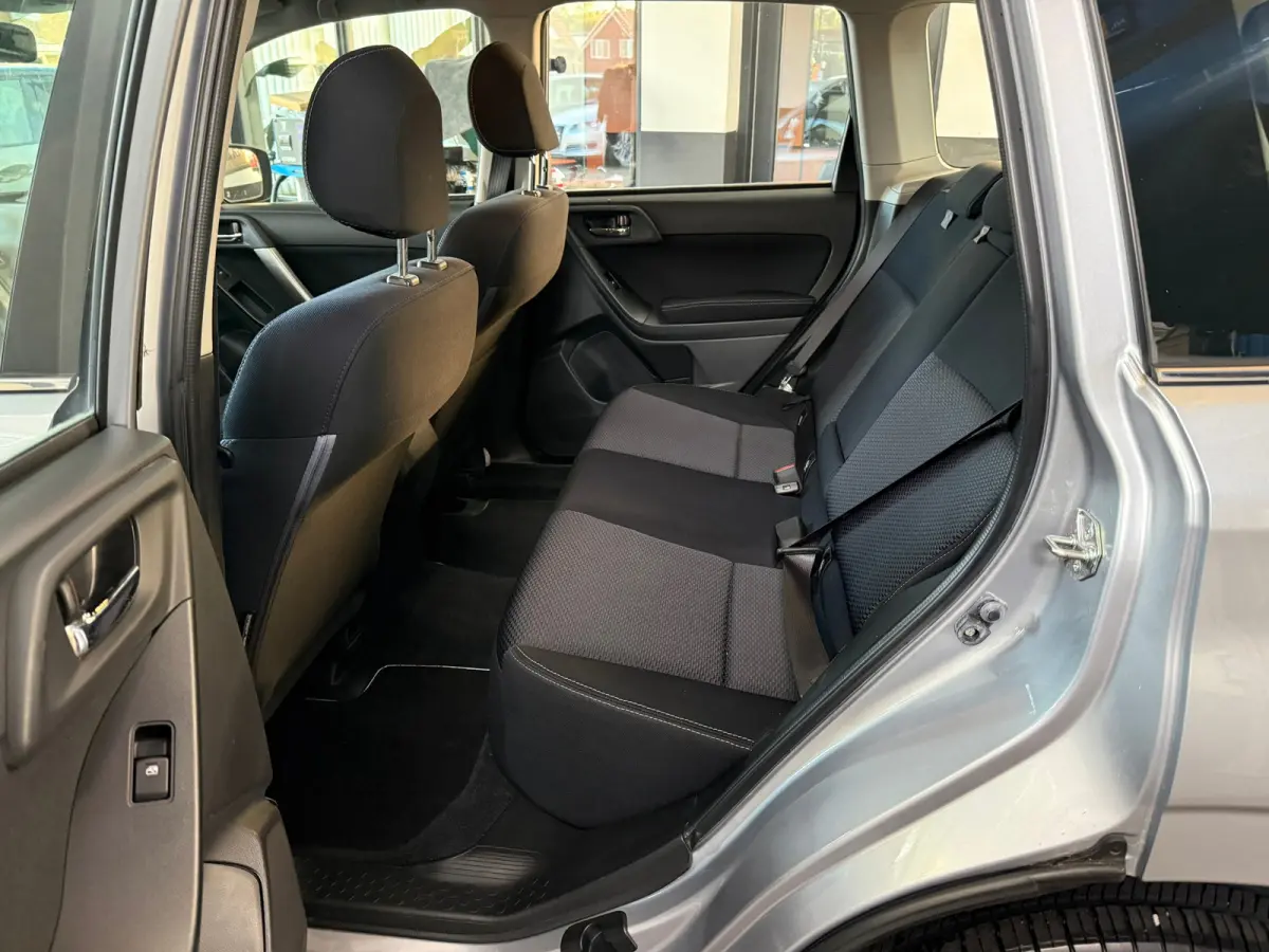 2.0 Comfort, Stoelverwarming,Climate control,Cruise control,L.M.Velgen