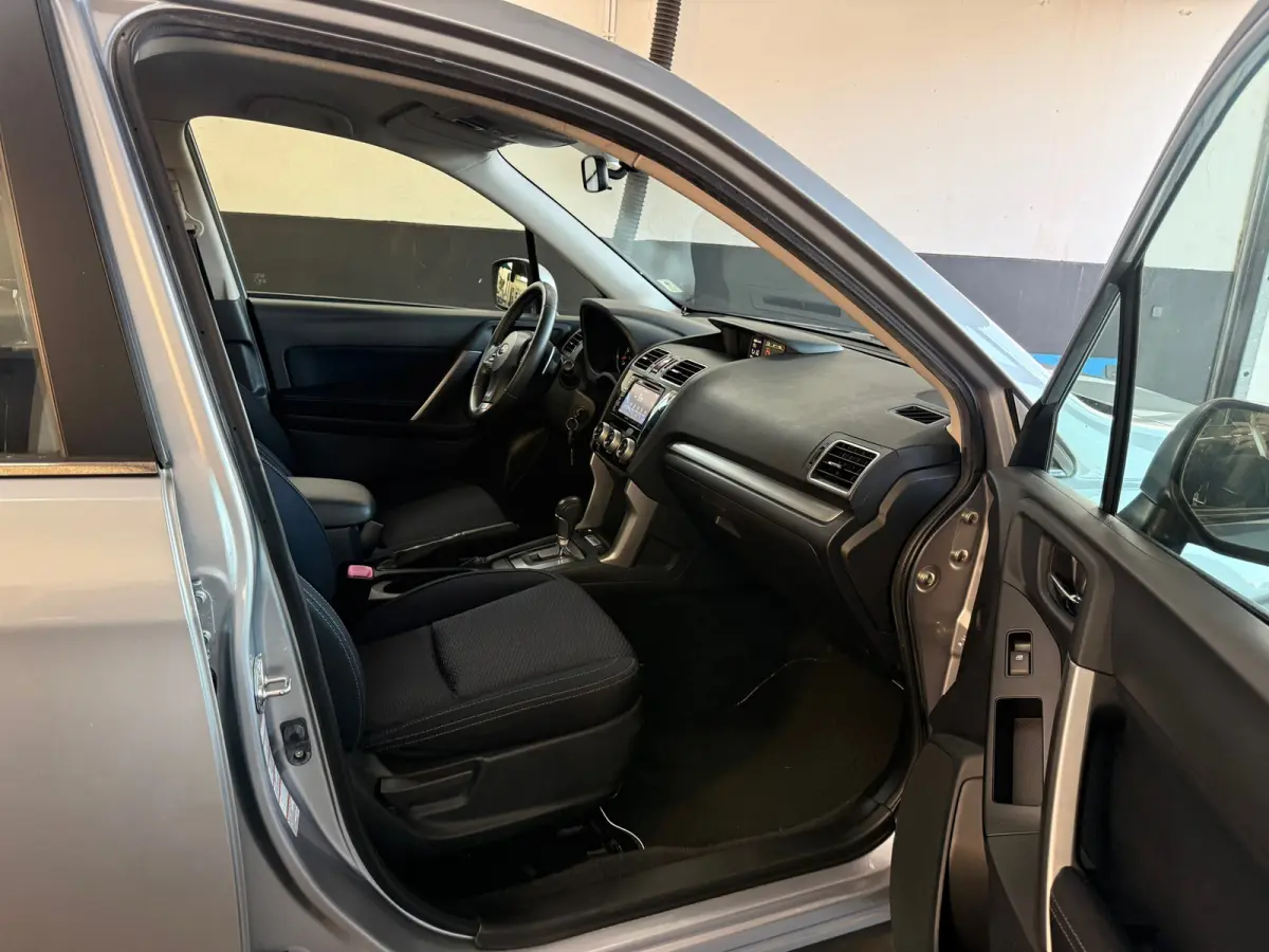 2.0 Comfort, Stoelverwarming,Climate control,Cruise control,L.M.Velgen