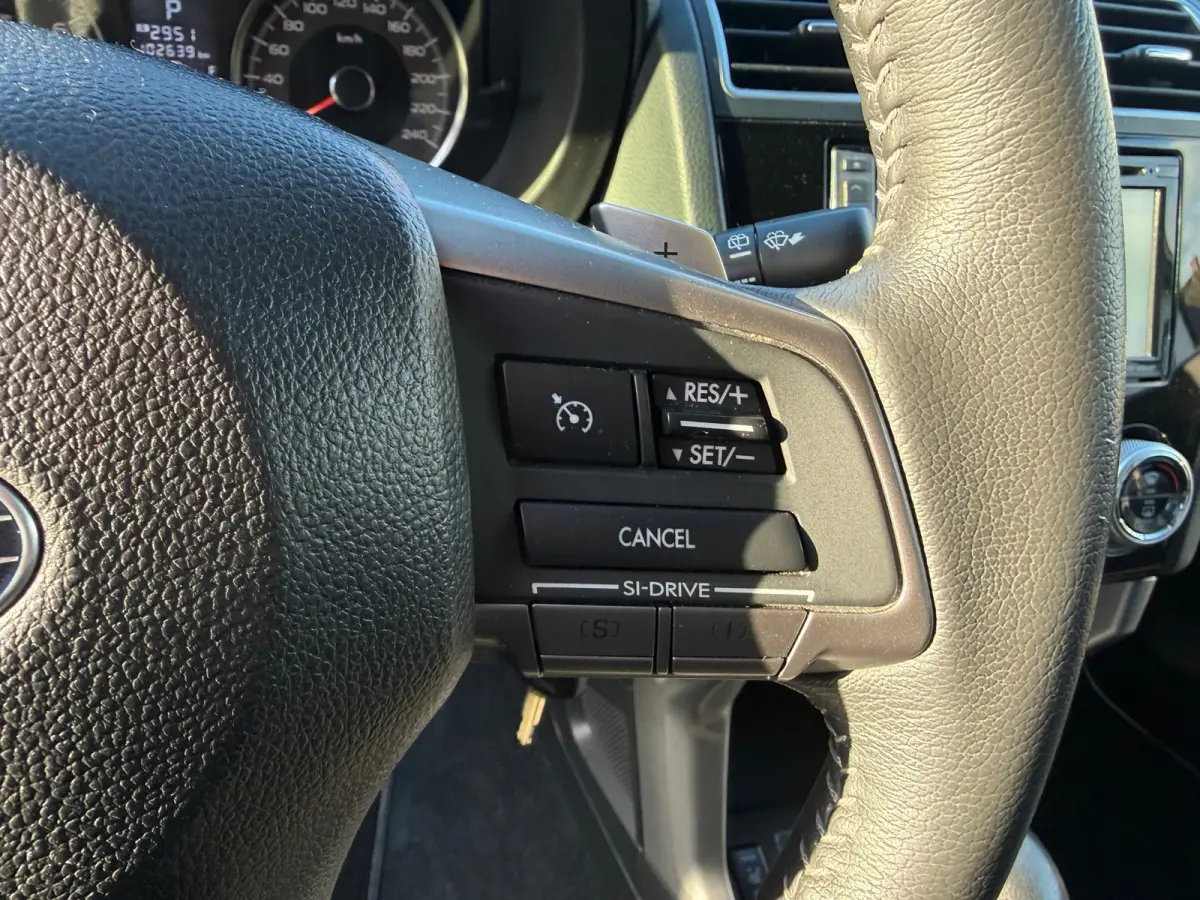 2.0 Comfort, Stoelverwarming,Climate control,Cruise control,L.M.Velgen