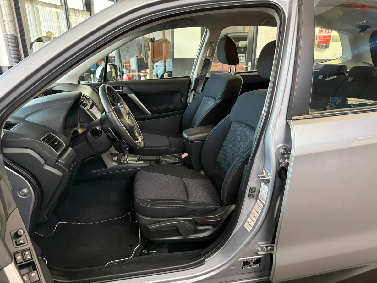 2.0 Comfort, Stoelverwarming,Climate control,Cruise control,L.M.Velgen