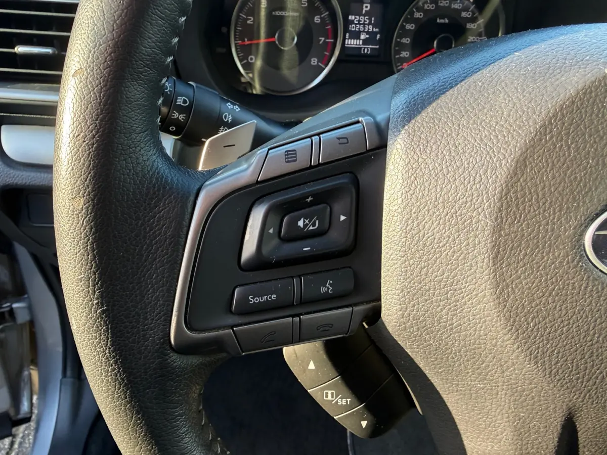 2.0 Comfort, Stoelverwarming,Climate control,Cruise control,L.M.Velgen