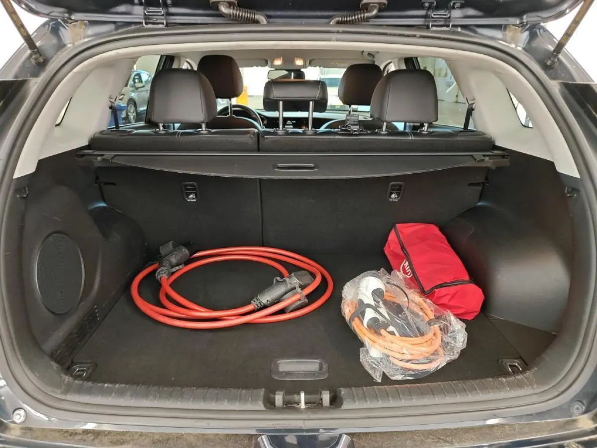 ExecutiveLine 64 kWh SOH 99% I XENON I LEER I SNELLADEN I 3-FASE I ORG.NL + NAP