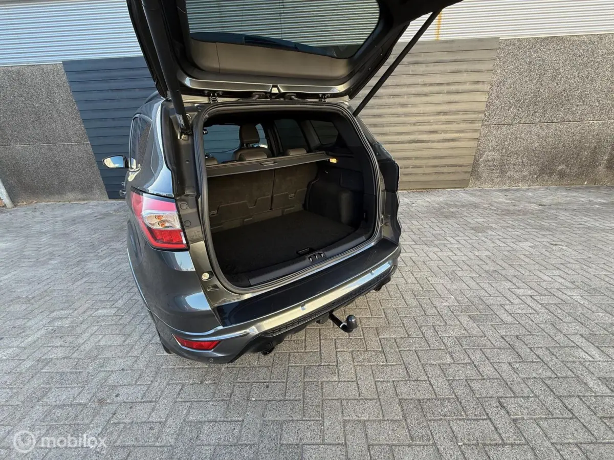1.5 EcoBoost ST Line Trekhaak/Xenon/Winterpack/Clima
