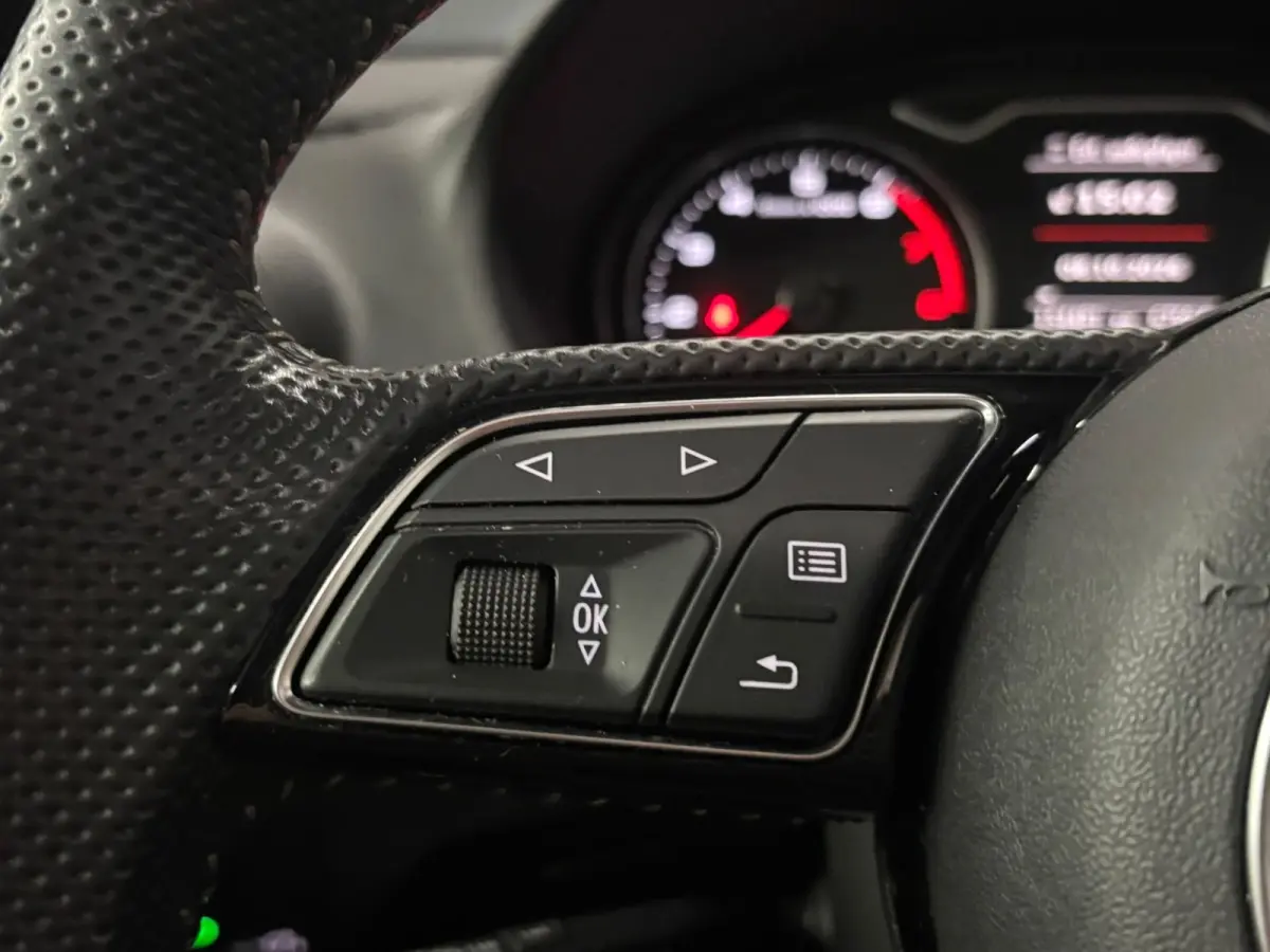 30 TFSI Sport S line Edition - Pano - Camera -