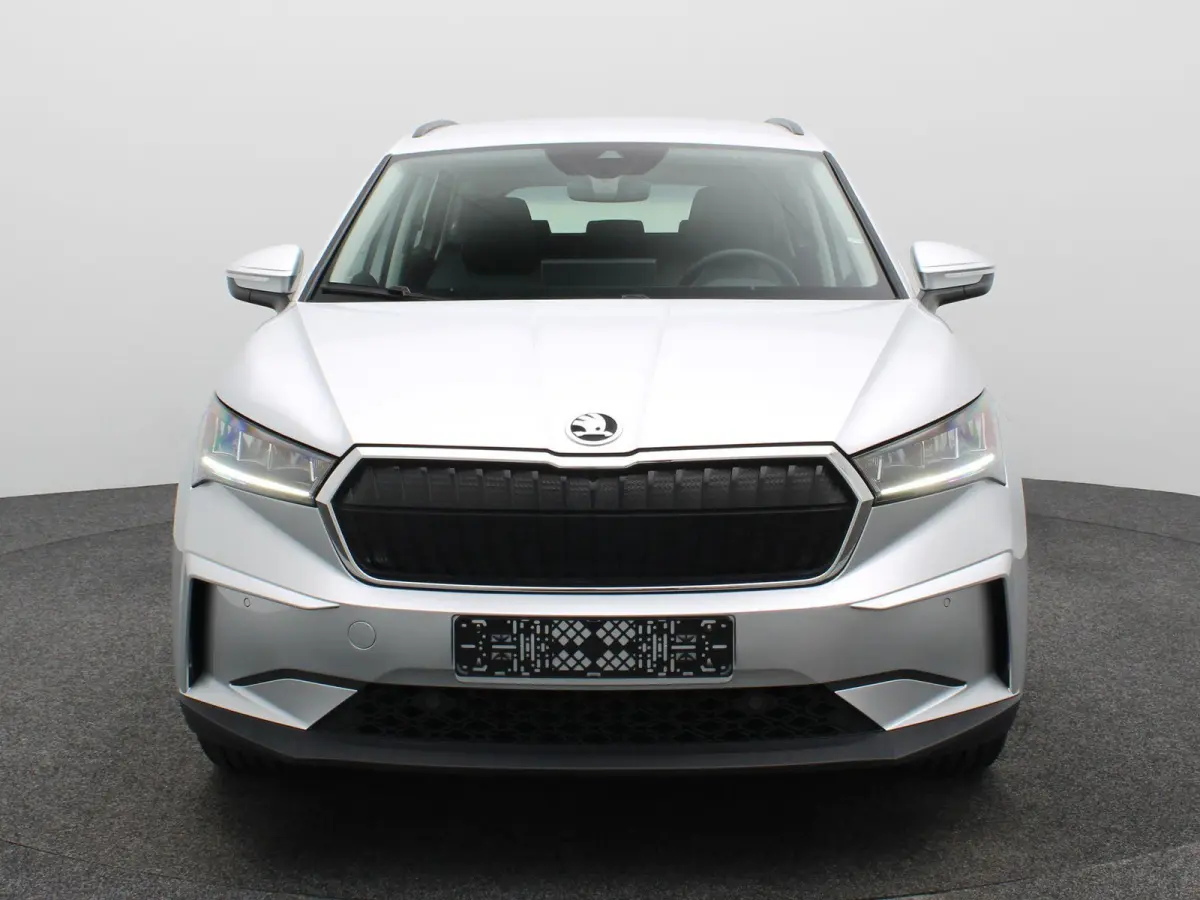 60 Sportline Business