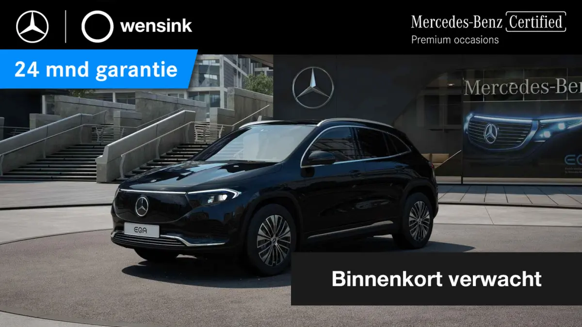 250+ Business Line LIMITED 71 kWh | Achteruitrijcamera | Stoelverwarming | Apple Carplay | Keyless |