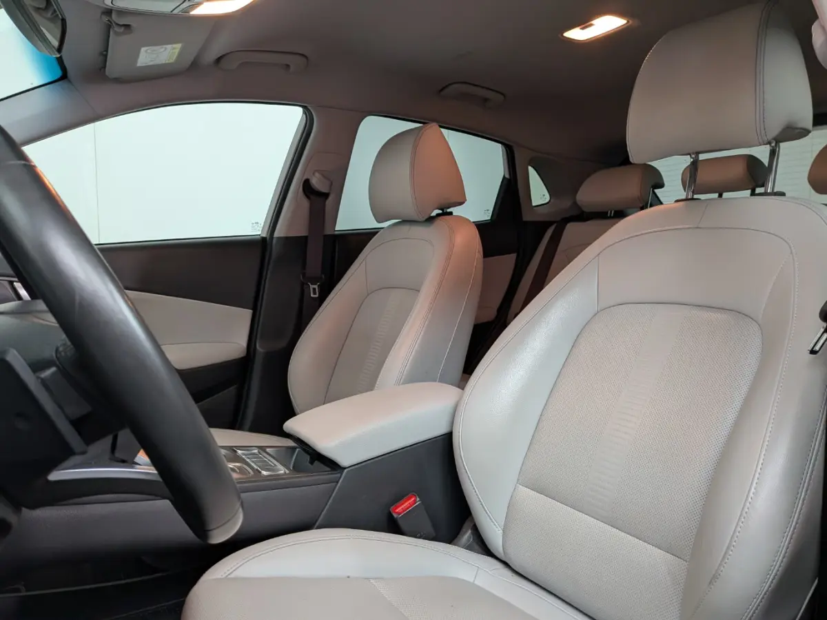 EV Business 64 kWh | SOH 100% | BLISS | Leder | Elek. Stoelen | Warmetepomp | ACC | Apple Carplay | Apple Carplay/Android Auto|telefoonintegratie premium | Audio installatie premium | Cruise