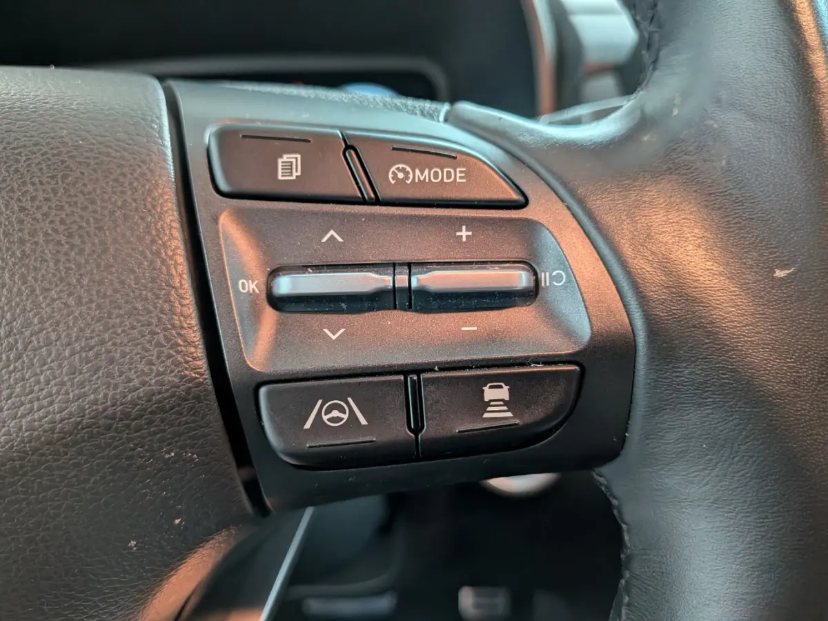 EV Business 64 kWh | SOH 100% | BLISS | Leder | Elek. Stoelen | Warmetepomp | ACC | Apple Carplay | Apple Carplay/Android Auto|telefoonintegratie premium | Audio installatie premium | Cruise