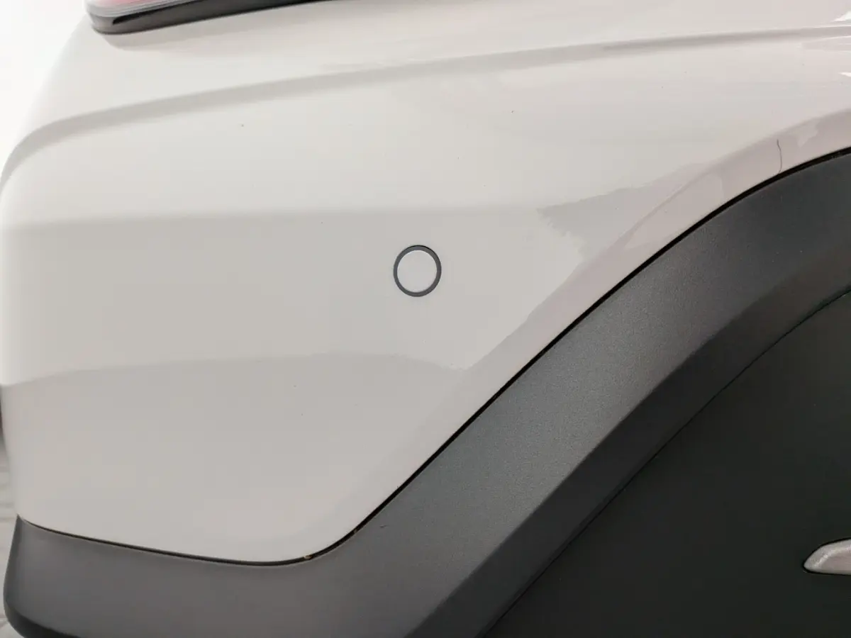 EV Business 64 kWh | SOH 100% | BLISS | Leder | Elek. Stoelen | Warmetepomp | ACC | Apple Carplay | Apple Carplay/Android Auto|telefoonintegratie premium | Audio installatie premium | Cruise