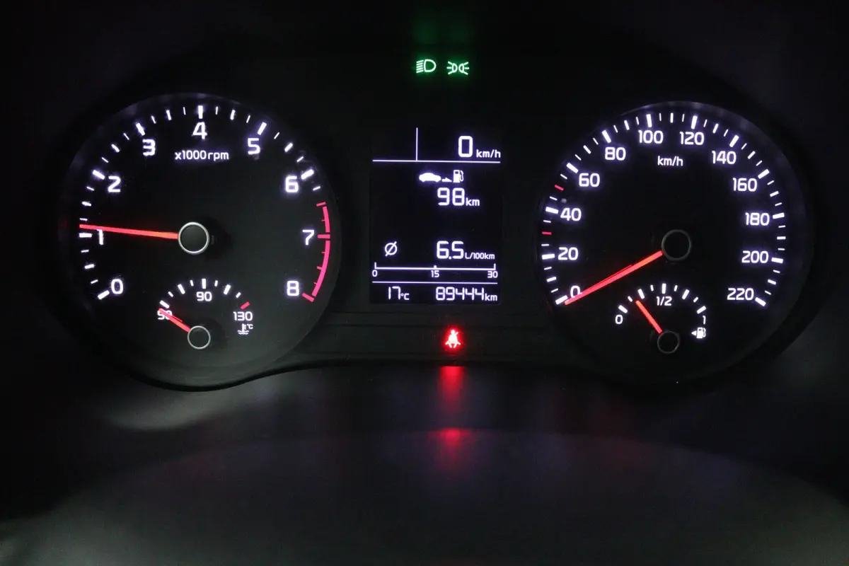 1.0 TGDI DynamicLine (CARPLAY, CAMERA, PDC, NAVIGATIE, LM VELGEN)