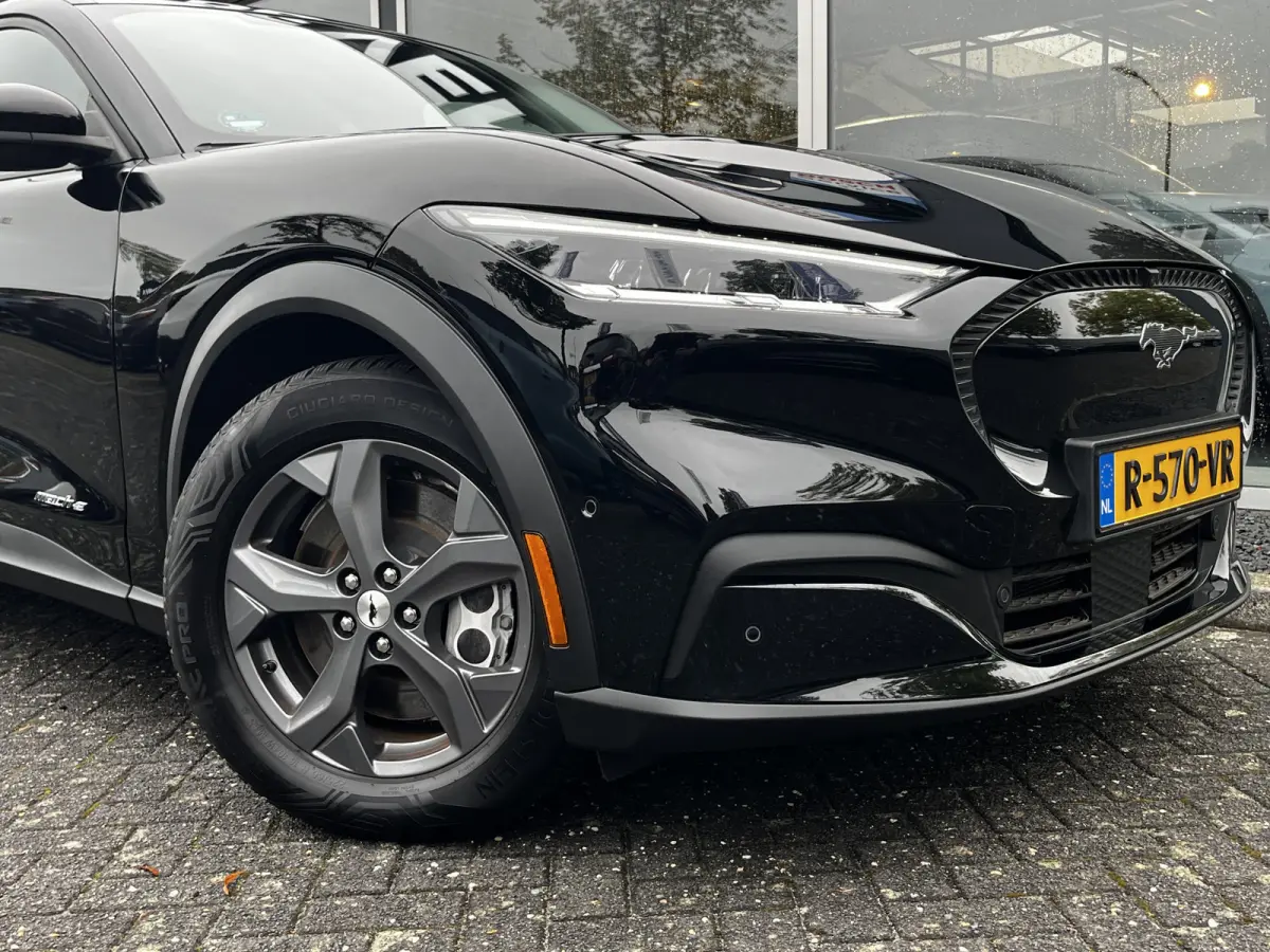 RWD 75 kWh | SoH 94% | Technology Pack | Elektrische klep | B&O-audio |