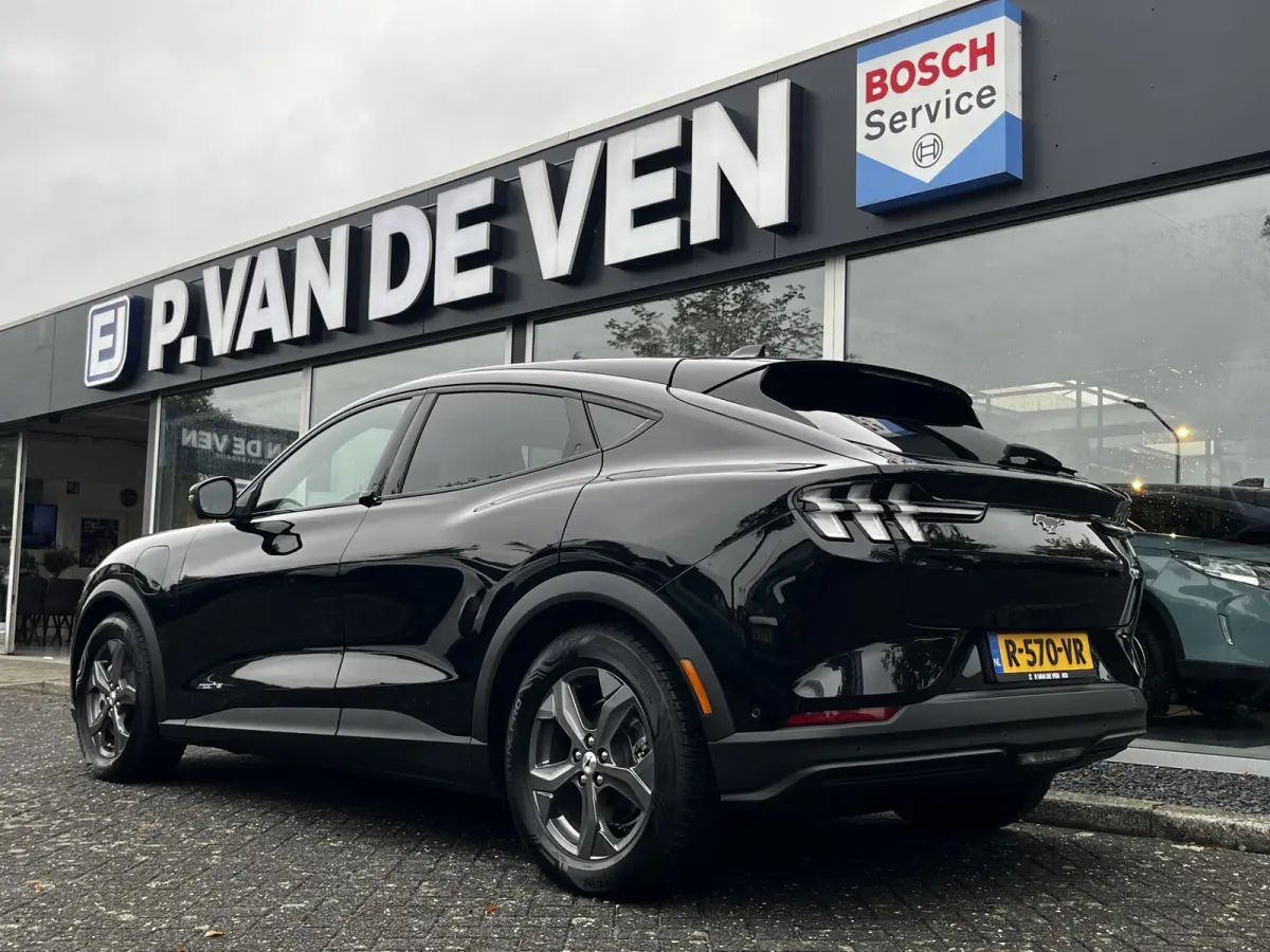 RWD 75 kWh | SoH 94% | Technology Pack | Elektrische klep | B&O-audio |