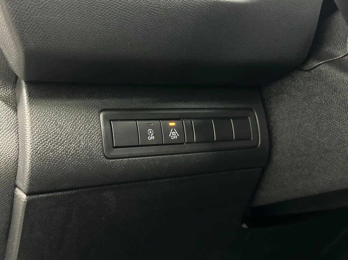 1.2 PureTech GT-line 131PK PANO CRUISE CAMERA CLIMA CARPLAY