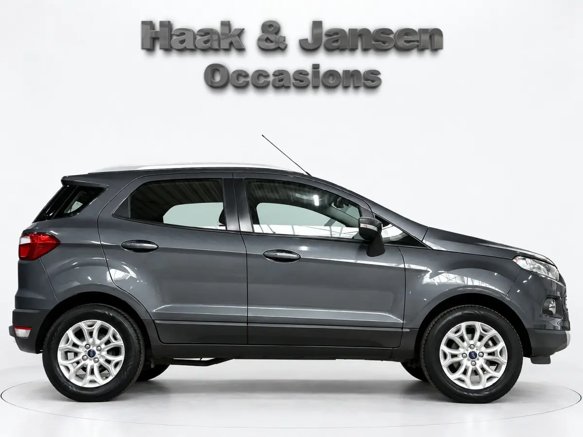 1.0 EcoBoost Titanium Clima Stoelverwarming
