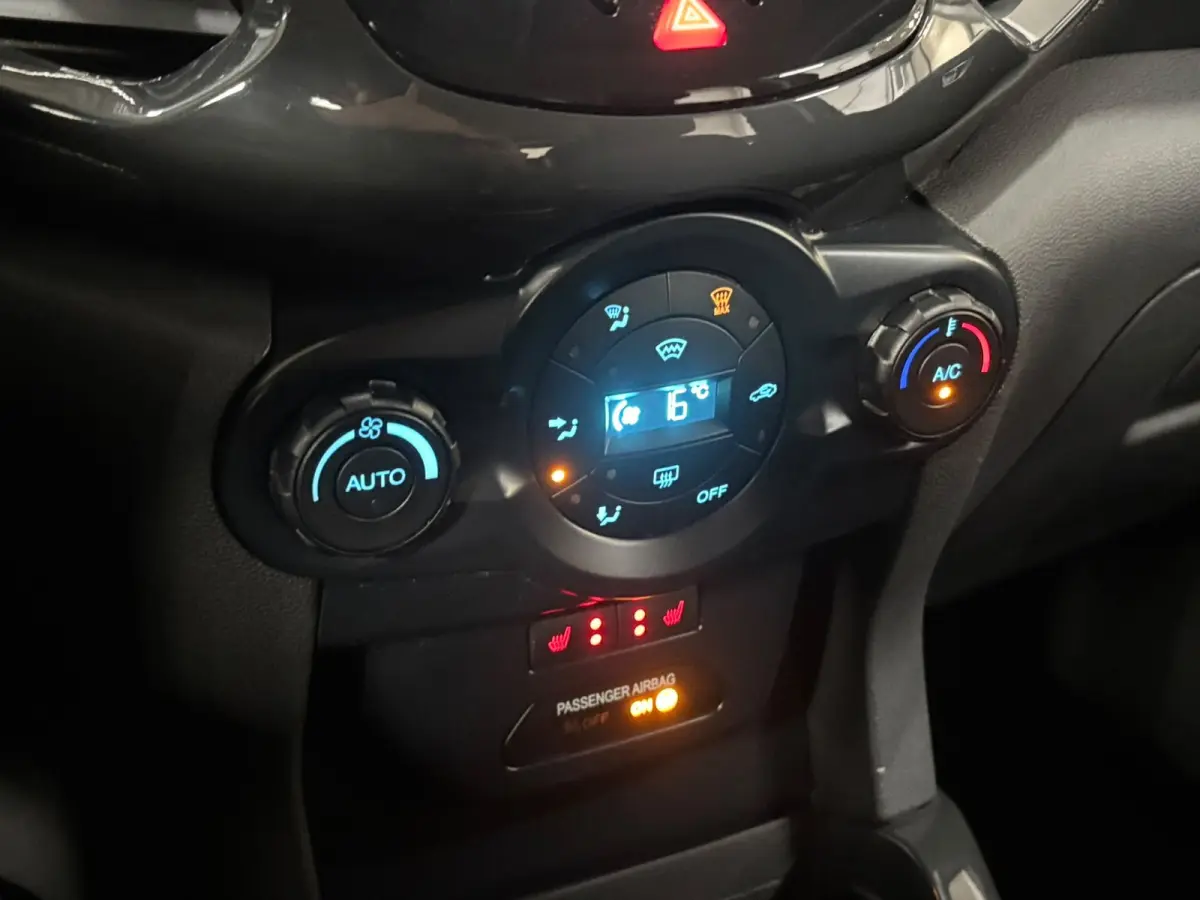 1.0 EcoBoost Titanium Clima Stoelverwarming