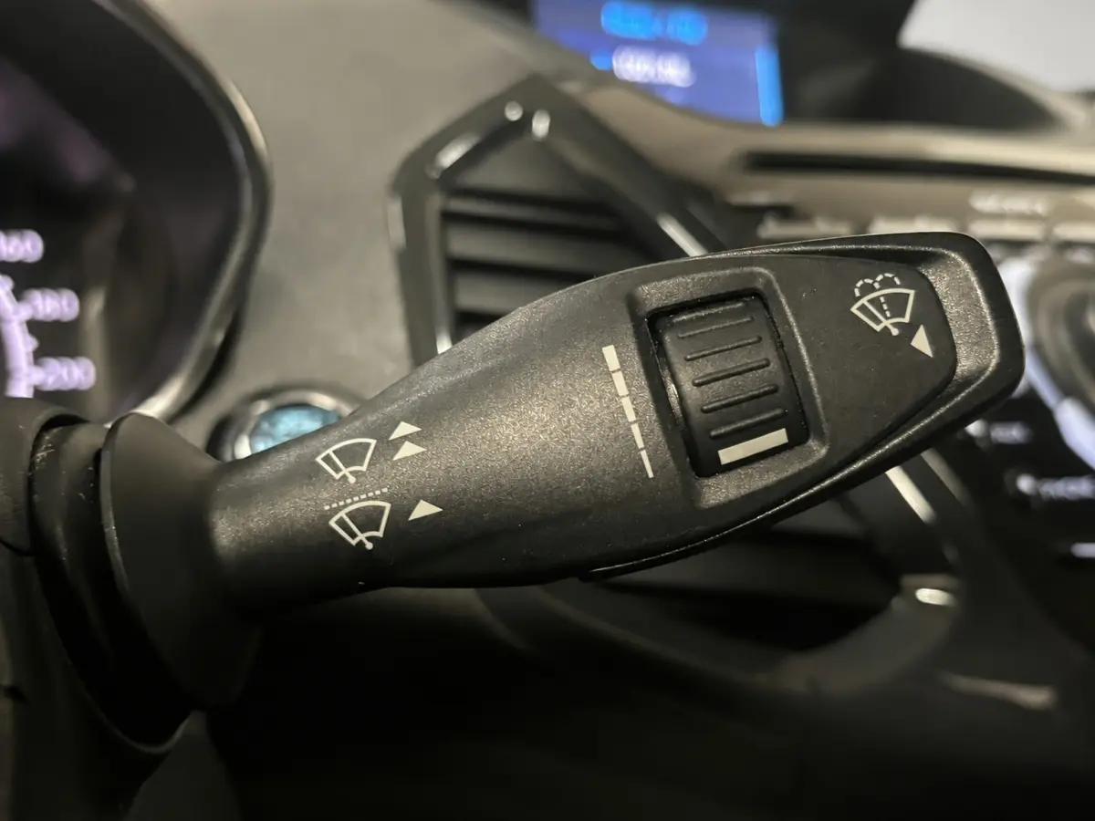 1.0 EcoBoost Titanium Clima Stoelverwarming
