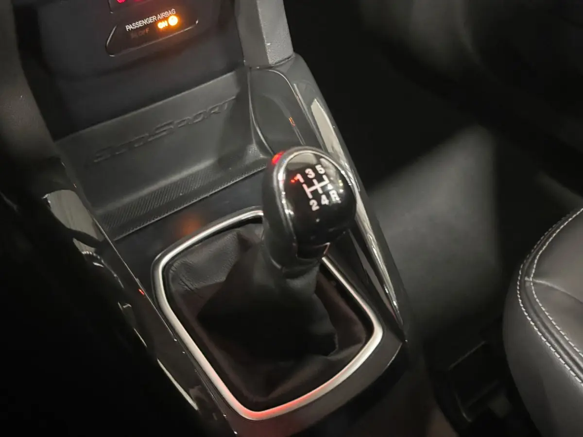 1.0 EcoBoost Titanium Clima Stoelverwarming