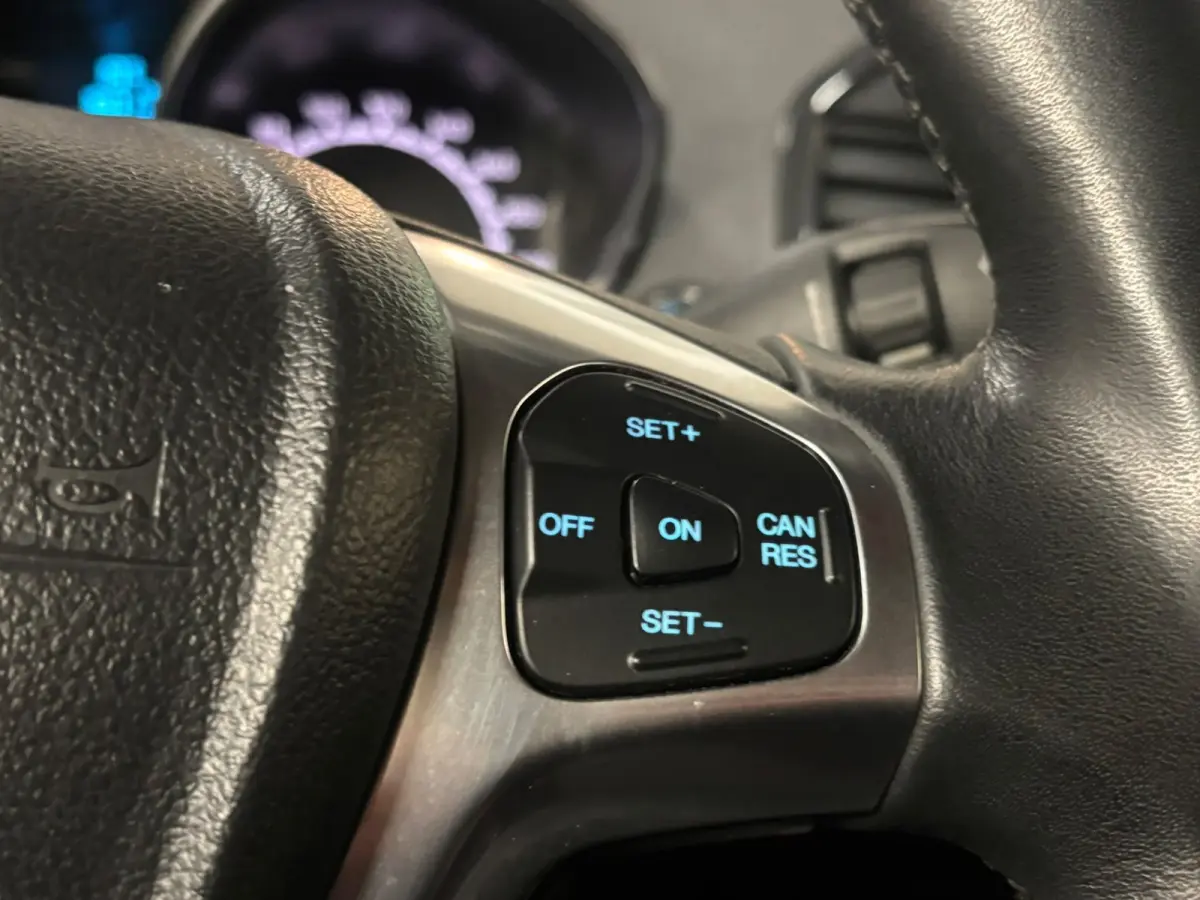 1.0 EcoBoost Titanium Clima Stoelverwarming