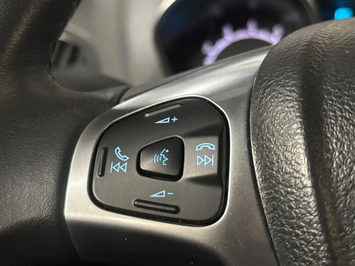 1.0 EcoBoost Titanium Clima Stoelverwarming