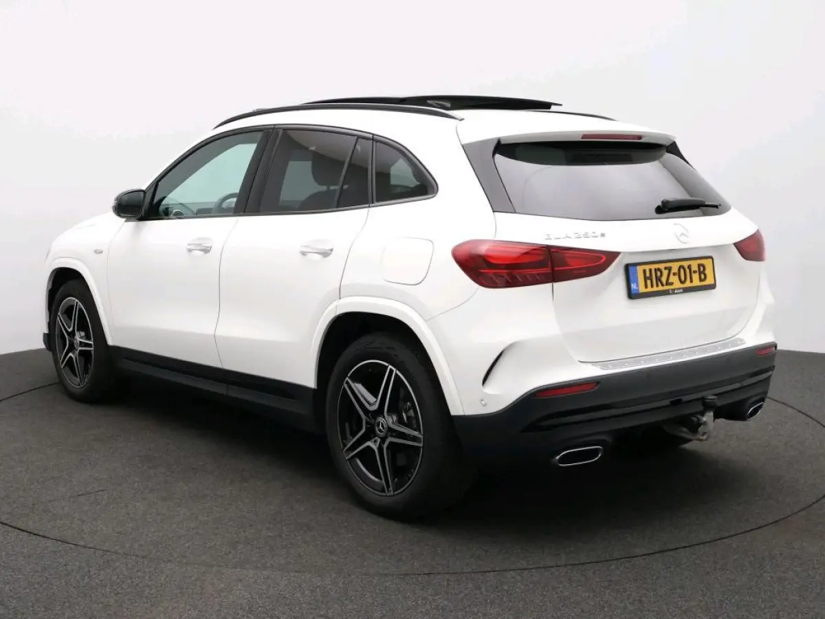 250 e Business Solution AMG Nightpakket / Trekhaak / Panoramadak / Keyless /  Stoelverwarming